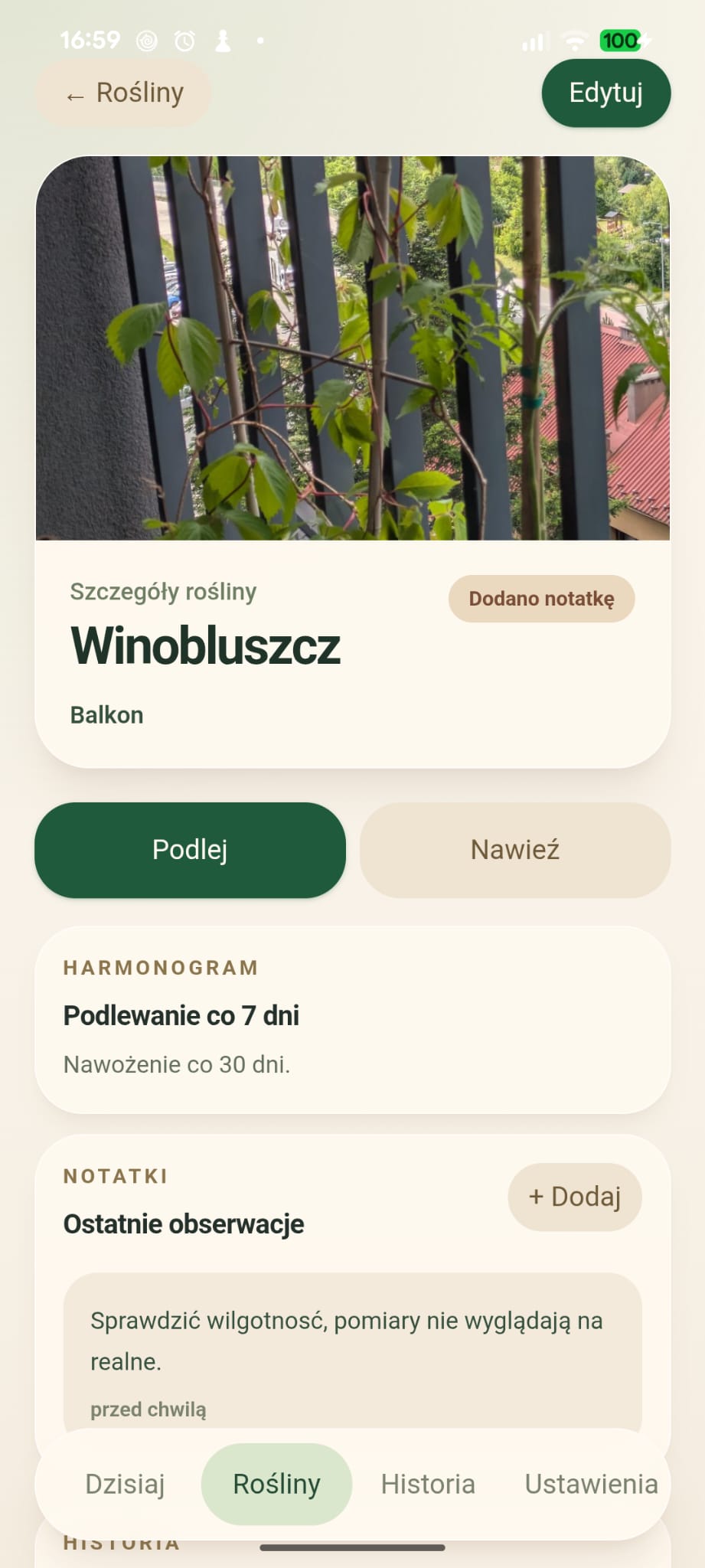Leafmate — szczegóły rośliny